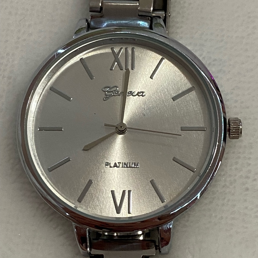 Platinum Stainless Steel Watch